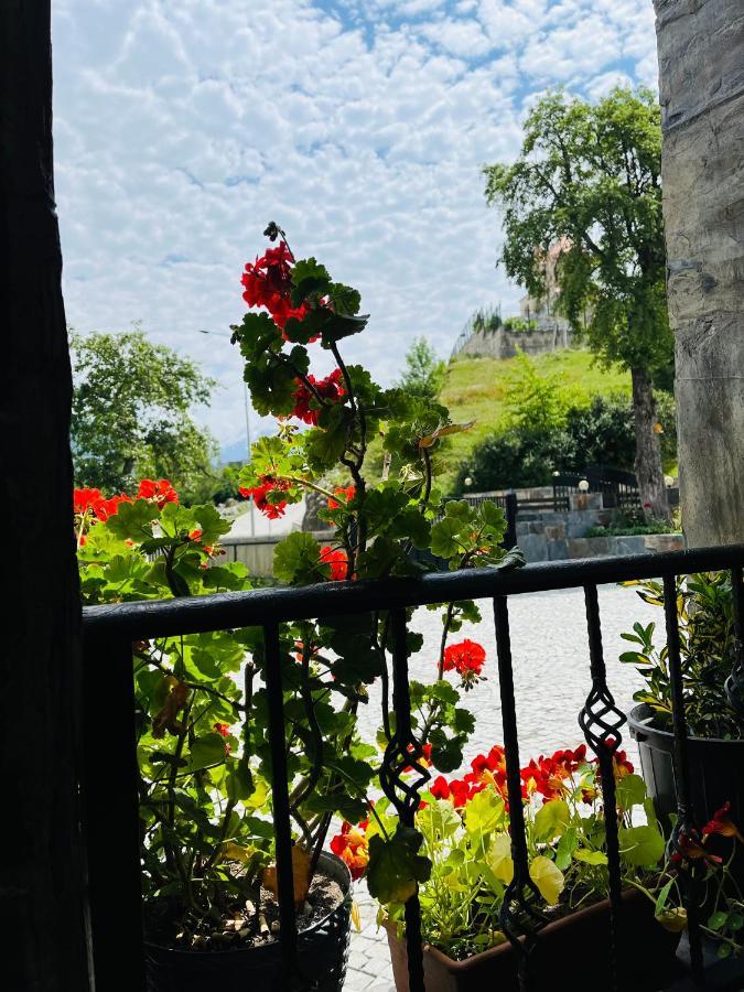 Guesthouse Alpenrose メスティア エクステリア 写真