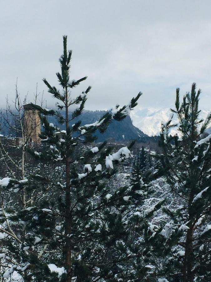 Guesthouse Alpenrose メスティア エクステリア 写真