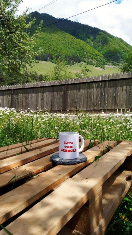 Guesthouse Alpenrose メスティア エクステリア 写真